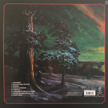 Load image into Gallery viewer, Hallas - Conundrum (Vinyl/Record)