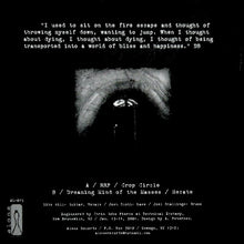 Load image into Gallery viewer, Anodyne - Berkowitz (Vinyl/Record)