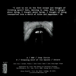 Anodyne - Berkowitz (Vinyl/Record)