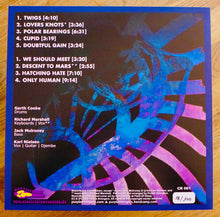 Load image into Gallery viewer, Purple Avengers - Let The Compass Sink (Vinyl/Record)