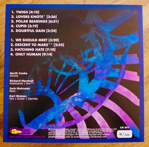 Purple Avengers - Let The Compass Sink (Vinyl/Record)