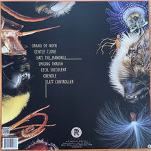 Load image into Gallery viewer, Boss Keloid - Family The Smiling Thrush (Vinyl/Record)
