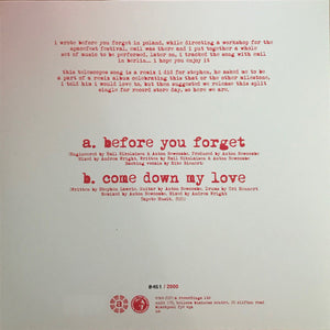 Brian Jonestown Massacre Vs The Telescopes - Before You Forget / Come Down My Love (Vinyl/Record)