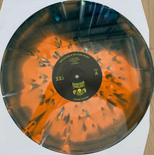 Cargar imagen en el visor de la galería, King Gizzard And The Lizard Wizard - Teenage Gizzard (Vinyl/Record)