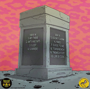 King Gizzard And The Lizard Wizard - Teenage Gizzard (Vinyl/Record)