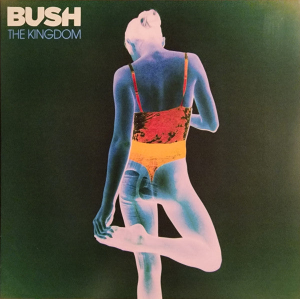 米LP Bush The Kingdom 538879041 BMG /00260 Bush - The Kingdom (Vinyl/Record) – The Cosmic Peddler