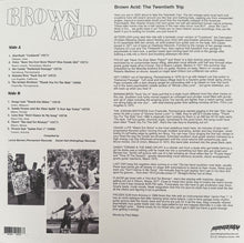 Load image into Gallery viewer, Brown Acid - The Twentieth Trip (Vinyl/Record)