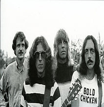 Load image into Gallery viewer, Bold Chicken - A Fellow&#39;s Lament (Vinyl/Record)
