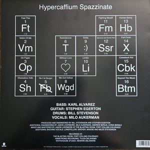 Descendents - Hypercaffium Spazzinate (Vinyl/Record)
