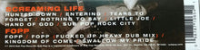 Load image into Gallery viewer, Soundgarden - Screaming Life / FOPP (Cassette)