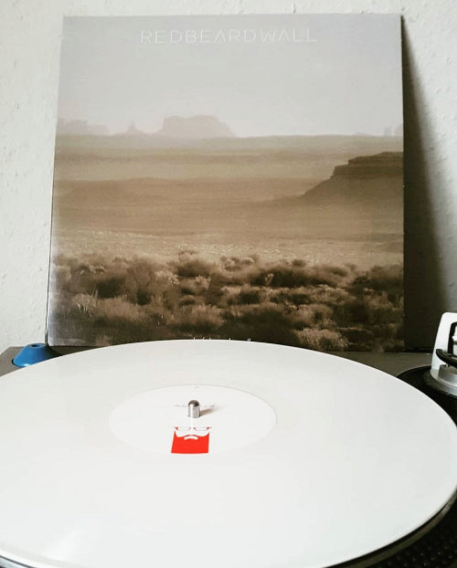 Vinyl record with a landscape cover on a turntable