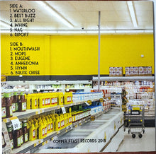 Load image into Gallery viewer, Right Shitty - Bachelor Of Arts back vinyl record cover artwork.