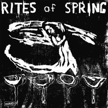 Load image into Gallery viewer, Rites Of Spring - Rites Of Spring front vinyl record cover artwork.