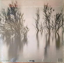 Cargar imagen en el visor de la galería, Album cover with trees reflected in water and 'Narctica' branding.