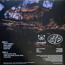 Load image into Gallery viewer, Vinyl record sleeve with text and logos on a dark background