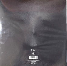 Cargar imagen en el visor de la galería, Satyricon - Satyricon And Munch back vinyl record cover artwork.