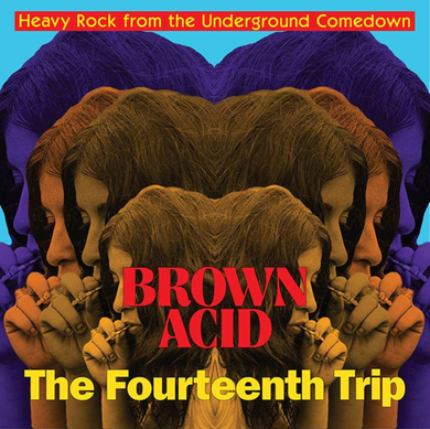 Brown Acid - The Fourteenth Trip (CD)