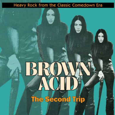 Brown Acid - The Second Trip (Vinyl/Record)
