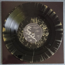 Cargar imagen en el visor de la galería, Vinyl record with a decorative label on a brown background