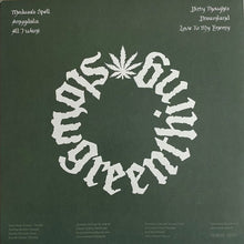 Load image into Gallery viewer, Album cover with text and a central design on a green background