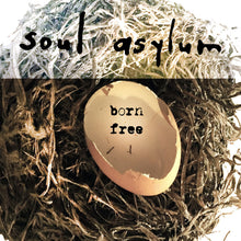 Load image into Gallery viewer, Album cover art for Soul Asylum - Born Free, featuring a record eggshell with the text 'born free' on it, surrounded by nest material.