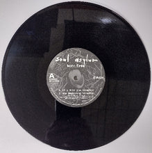 Load image into Gallery viewer, Soul Asylum - Born Free black vinyl record.