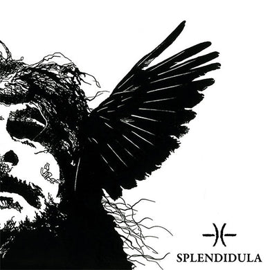 Black and white illustration of a skull with wings and the brand 'Splendidula' on a white background