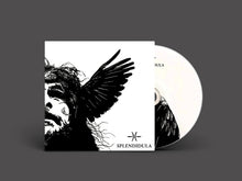 Cargar imagen en el visor de la galería, Vinyl record with cover featuring a black and white illustration of a person with wings on a gray background