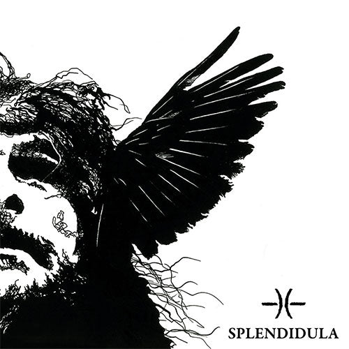 Black and white illustration of a skull with wings and the brand 'Splendidula' on a white background