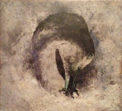 Artistic depiction of a swan with head turned down