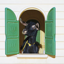 Load image into Gallery viewer, Superchunk - Wild Loneliness front album cover.