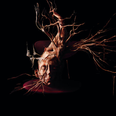 Artistic depiction of a person with roots emerging from their head against a dark background