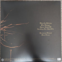 Load image into Gallery viewer, Swan Valley Heights - Terminal Forest back vinyl record cover.