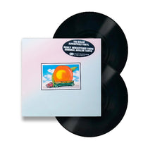 Load image into Gallery viewer, Two black vinyl records with a colorful album cover on a white background