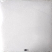 Charger l'image dans la galerie, The Brian Jonestown Massacre - Third World Pyramid back vinyl record cover.
