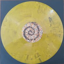 Load image into Gallery viewer, Vinyl record with a dragon design on a yellow label against a blue background