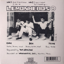 Charger l'image dans la galerie, The Lemonheads - Laughing All The Way To The Cleaners back vinyl record cover artwork.