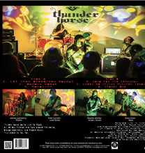 Charger l'image dans la galerie, Album cover for 'Thunder Horse' with band members on stage and colorful lighting.