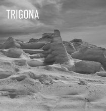 Load image into Gallery viewer, Trigona - Trigona front vinyl record cover.
