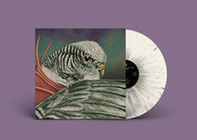 Cargar imagen en el visor de la galería, Various - Never Turn Your Back On A Friend:  50 Years Later colored vinyl record.