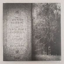 Charger l'image dans la galerie, Album cover with text and a forest illustration