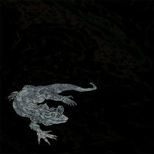 Charger l'image dans la galerie, Decorative lizard design on a textured black background