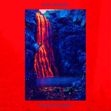 Load image into Gallery viewer, Fuzz Meadows - Orange Sunshine (Vinyl/Record)