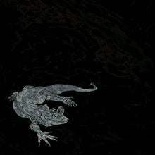 Load image into Gallery viewer, Zodiac Rippers - Chrome Lizard (Vinyl/Record)
