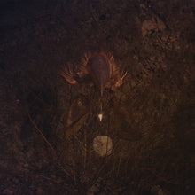 Load image into Gallery viewer, BongBongBeerWizards - Ampire Vinyl