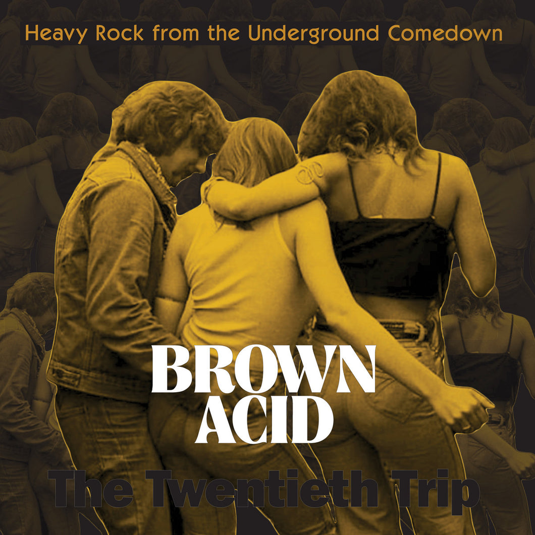 Brown Acid - The Twentieth Trip (Vinyl/Record)