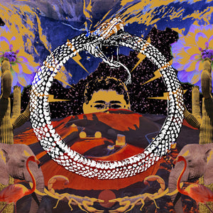 Stone House On Fire - Never Ending Cycle (Vinyl/Record)