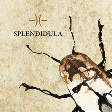 Load image into Gallery viewer, Splendidula - Splendidula (CD)