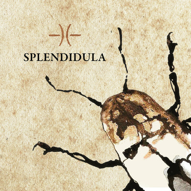 Splendidula - Splendidula (CD)