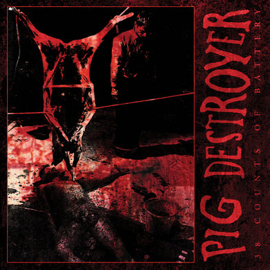 Pig Destroyer - 38 Counts Of Battery (CD)